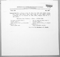 Sphaerulina gei image